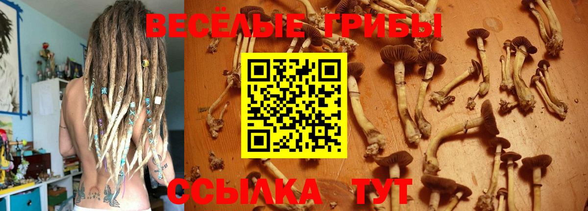 Галлюциногенные грибы ЛСД  Галлюциногенные грибы мухоморы  Вход с VPN  Калач-на-Дону 