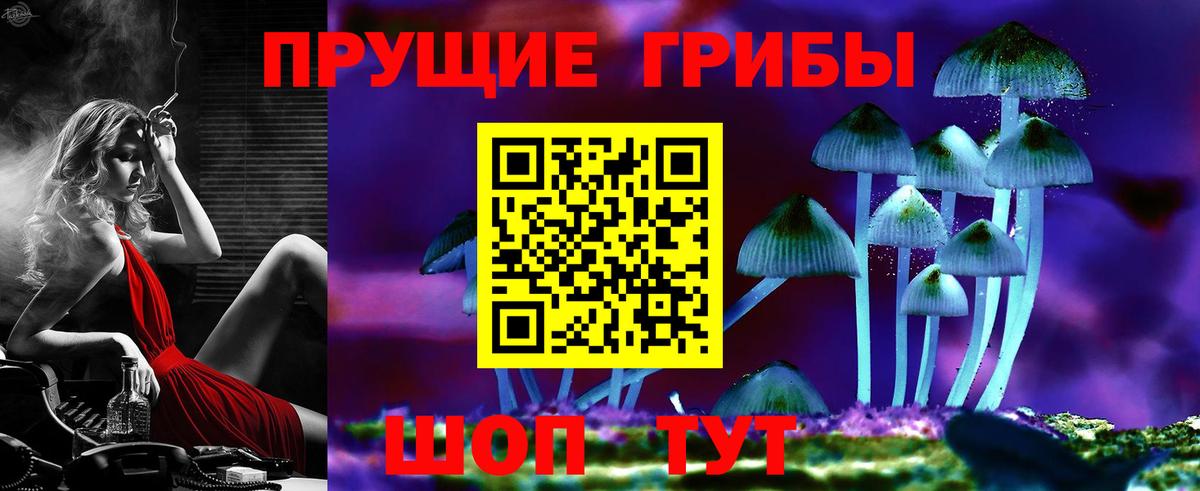 Псилоцибиновые грибы GOLDEN TEACHER Калач-на-Дону